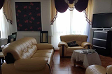 vila popasul ioana living